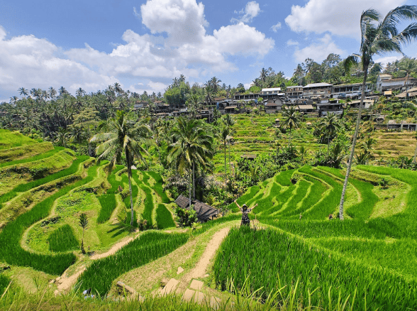 Bali Island Discovery gallery