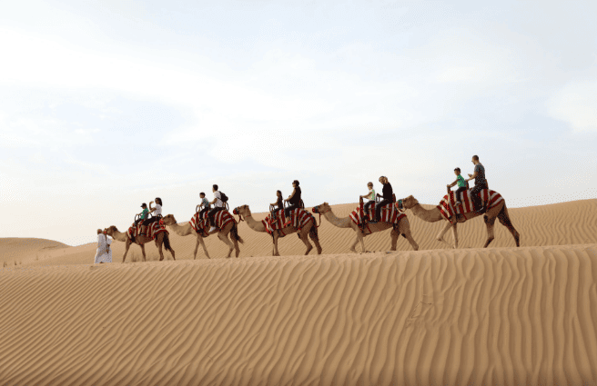 Desert Safari